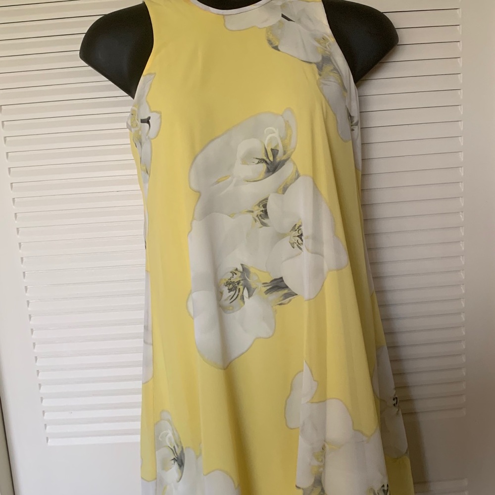 Calvin Klein Dress